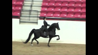 Arcuri Stables – CRD Bugatti