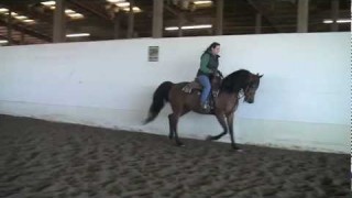 For Sale – Dcisions Dcisions PF