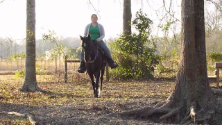 Glory – TWH mare for sale