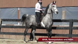 For Sale – SF DIAMONDS R US