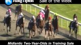 Sale of the Week: Midlantic 2YOs in Training!