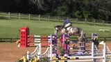 ZANA MOON ridden by JOSHUA TABOR