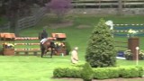 VALENTINO** ridden by DARRAGH KENNY