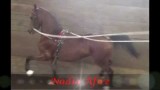 FOR SALE – Nadia Afire