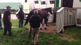 Orb Leaves Churchill Downs