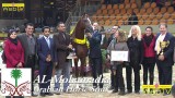 Bruges Arabian Horse Event 2013