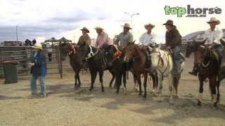 ASH National Show 2013 – Maiden Campdraft