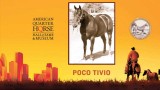 Poco Tivio