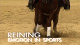 NRHA European Futurity