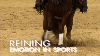 NRHA European Futurity