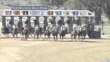 Q Racing News May 24 2013