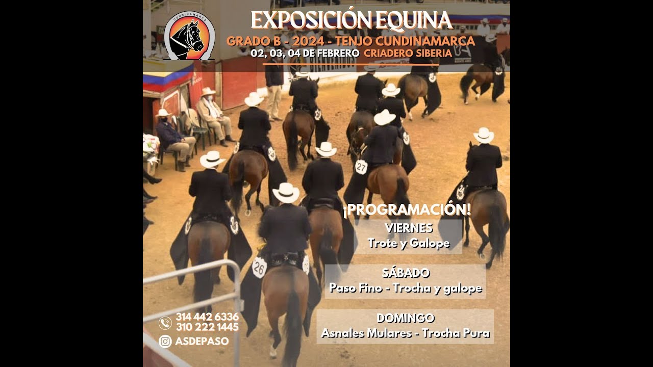 Exposicion Equina Grado B Tenjo Cundinamarca Dia Trote Y