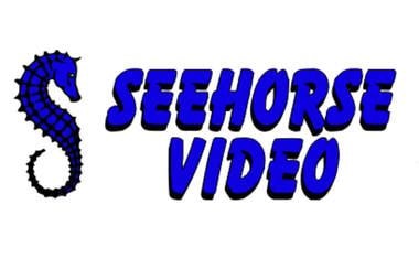 Seehorse Video