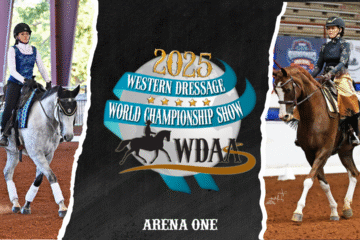 WDAA | LIVE | Ring 1
