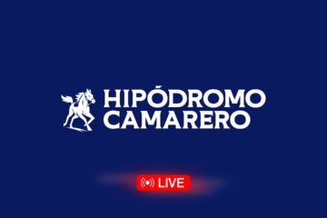Live Hippodrome « CASABLANCA » du 28/08/2026