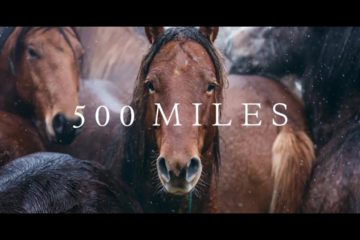 500 Miles – The Story of Ranchers and Horses