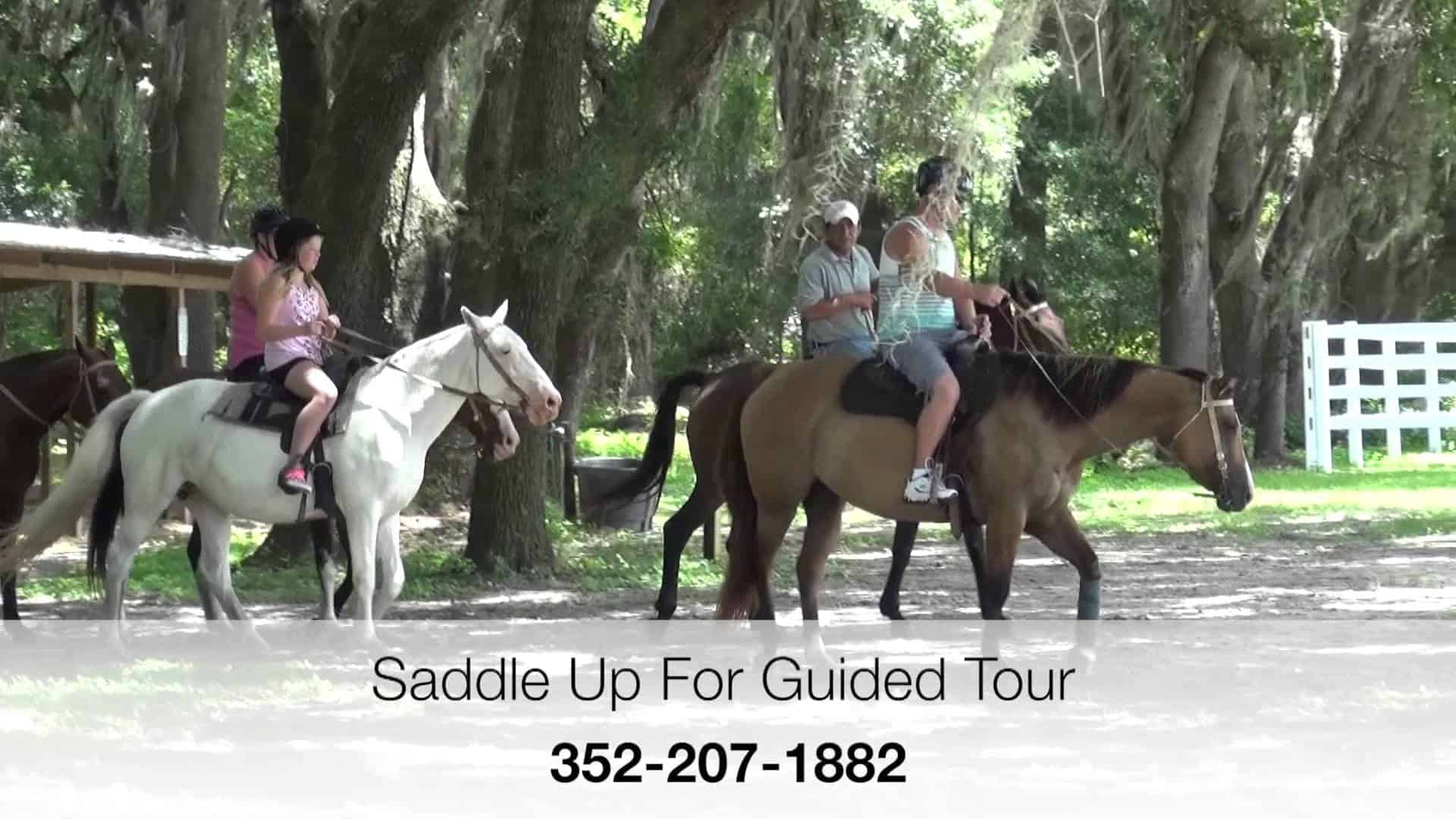 BG Trail Rides at the Florida Horse Park Total Horse Channel