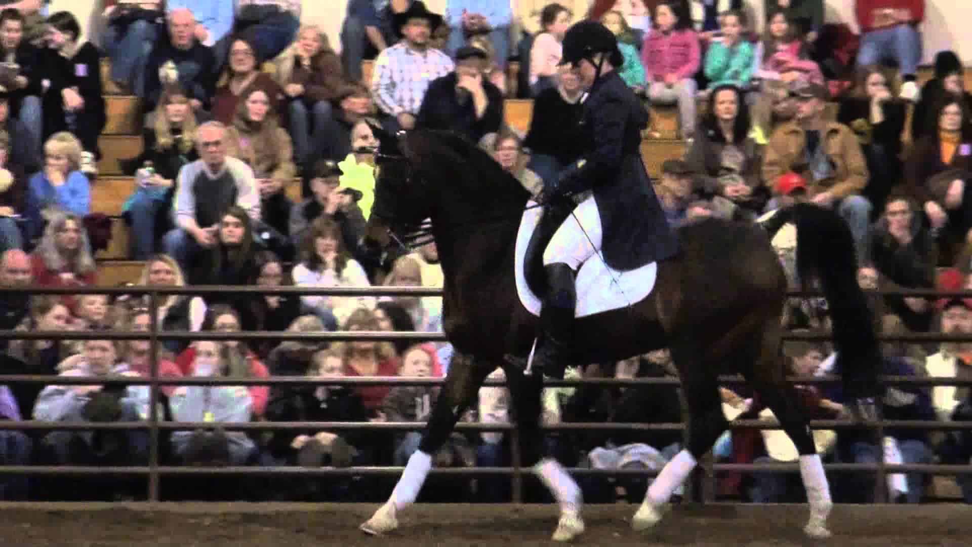 Illinois Horse Fair Show of Breeds Total Horse Channel Equestrian TV