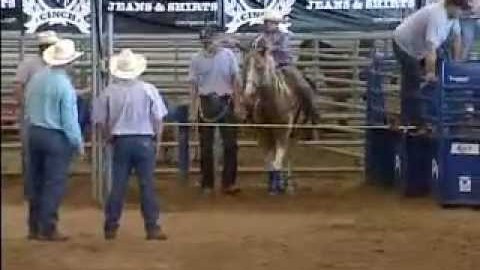 RC Roping Riley Webb - Total Horse Channel | Equestrian TV