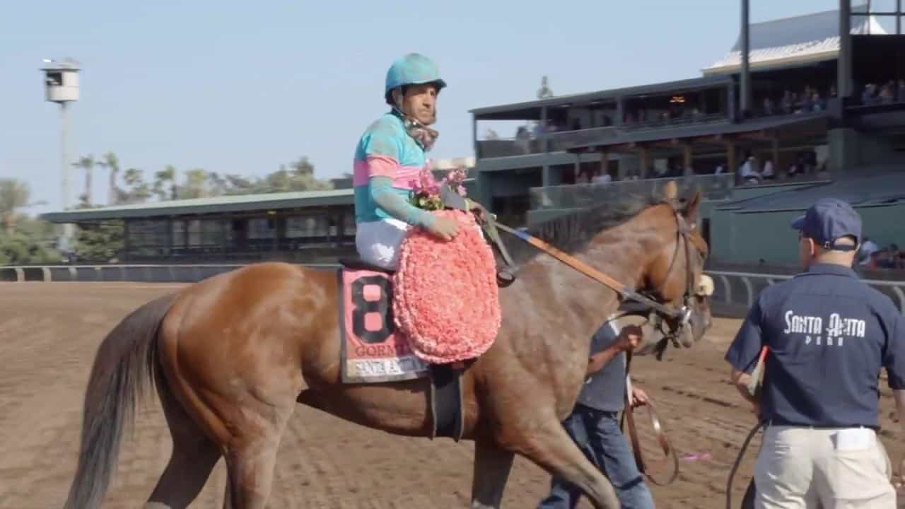 2017 KENTUCKY DERBY PROFILE Gormley Total Horse Channel Equestrian TV