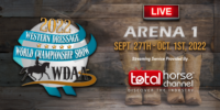 2022 WDAA THC Arena 1 Thumbnail