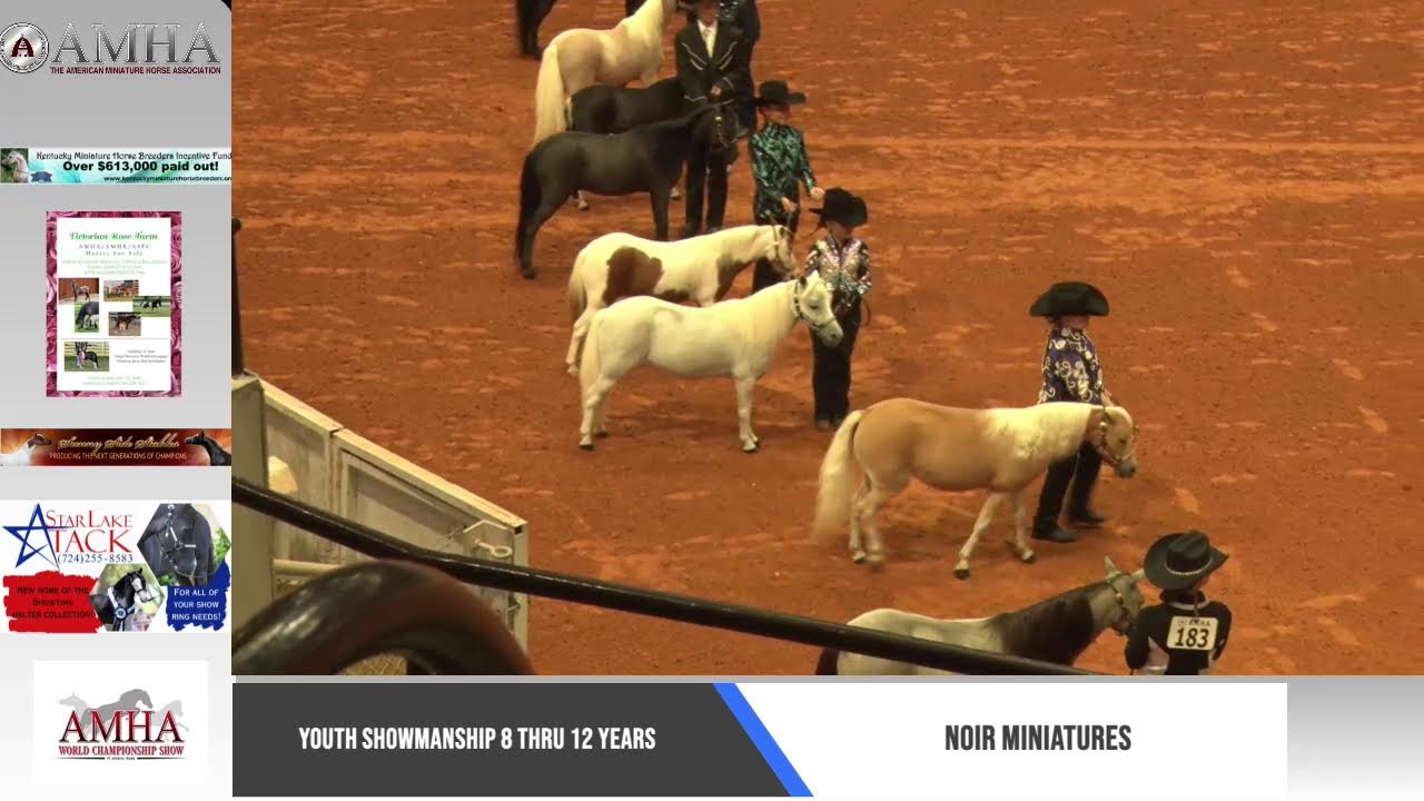 2023 AMHA World Show September 23rd Total Horse Channel Equestrian TV