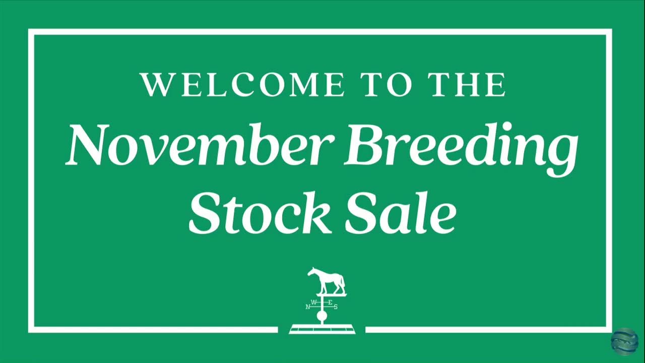 2023 Keeneland November Sale Total Horse Channel Equestrian TV