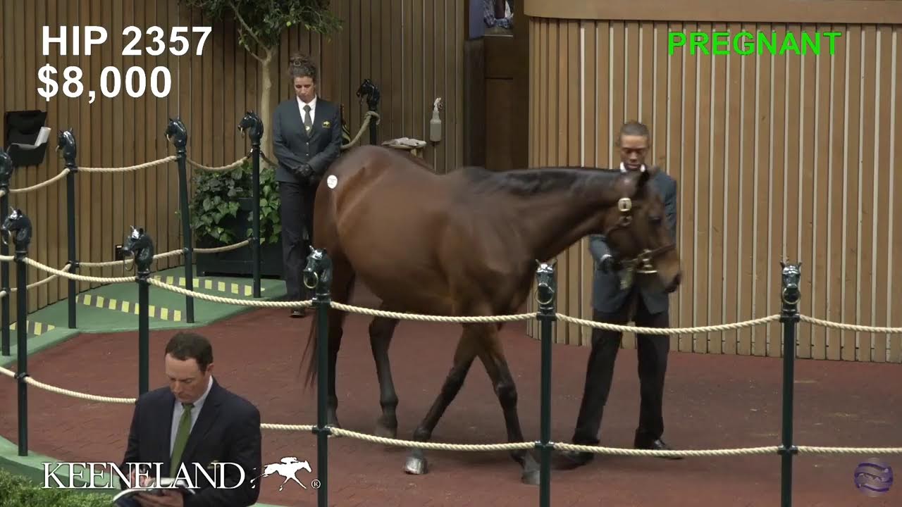 2023 Keeneland November Sale Total Horse Channel Equestrian TV