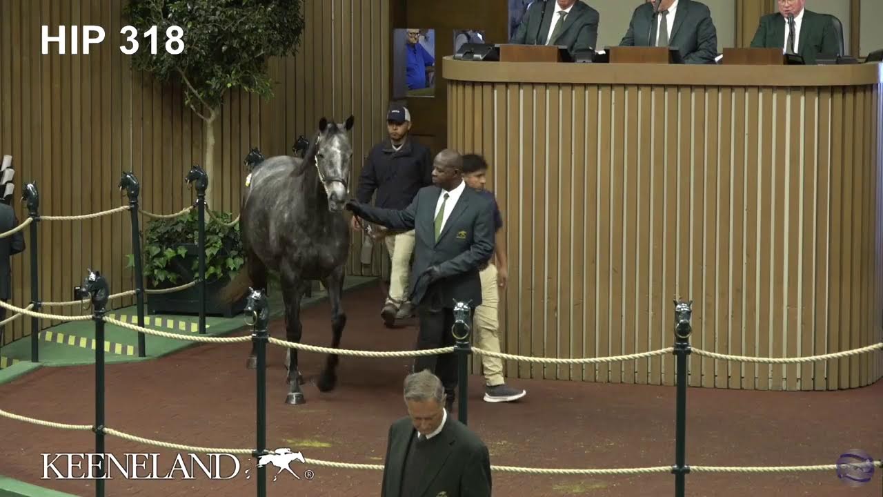 2023 Keeneland November Sale Total Horse Channel Equestrian TV