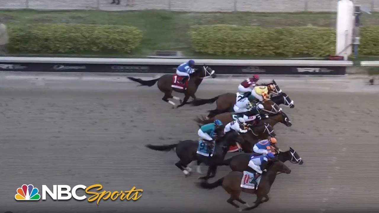 2024 Florida Derby (FULL RACE) NBC Sports Total Horse Channel