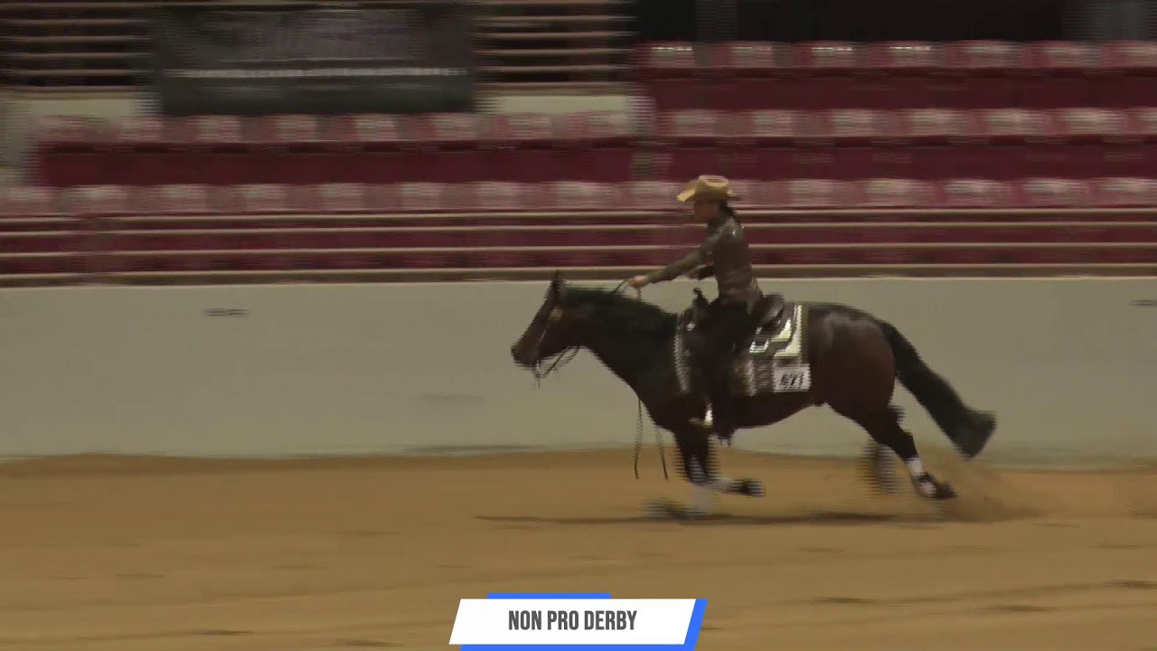 2024 Florida Reining Classic February 23rd Total Horse Channel