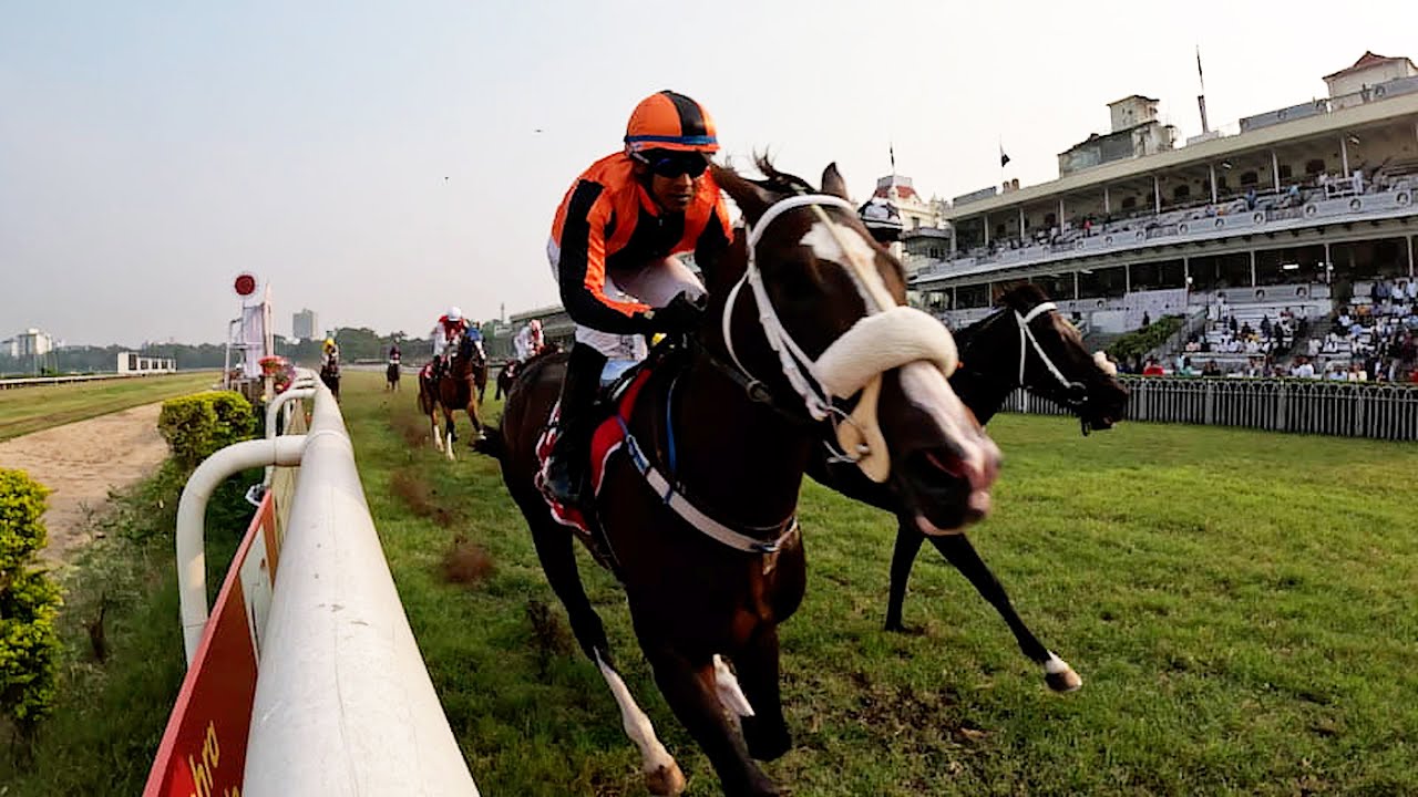 2024 JAPAN CUP Total Horse Channel Equestrian TV