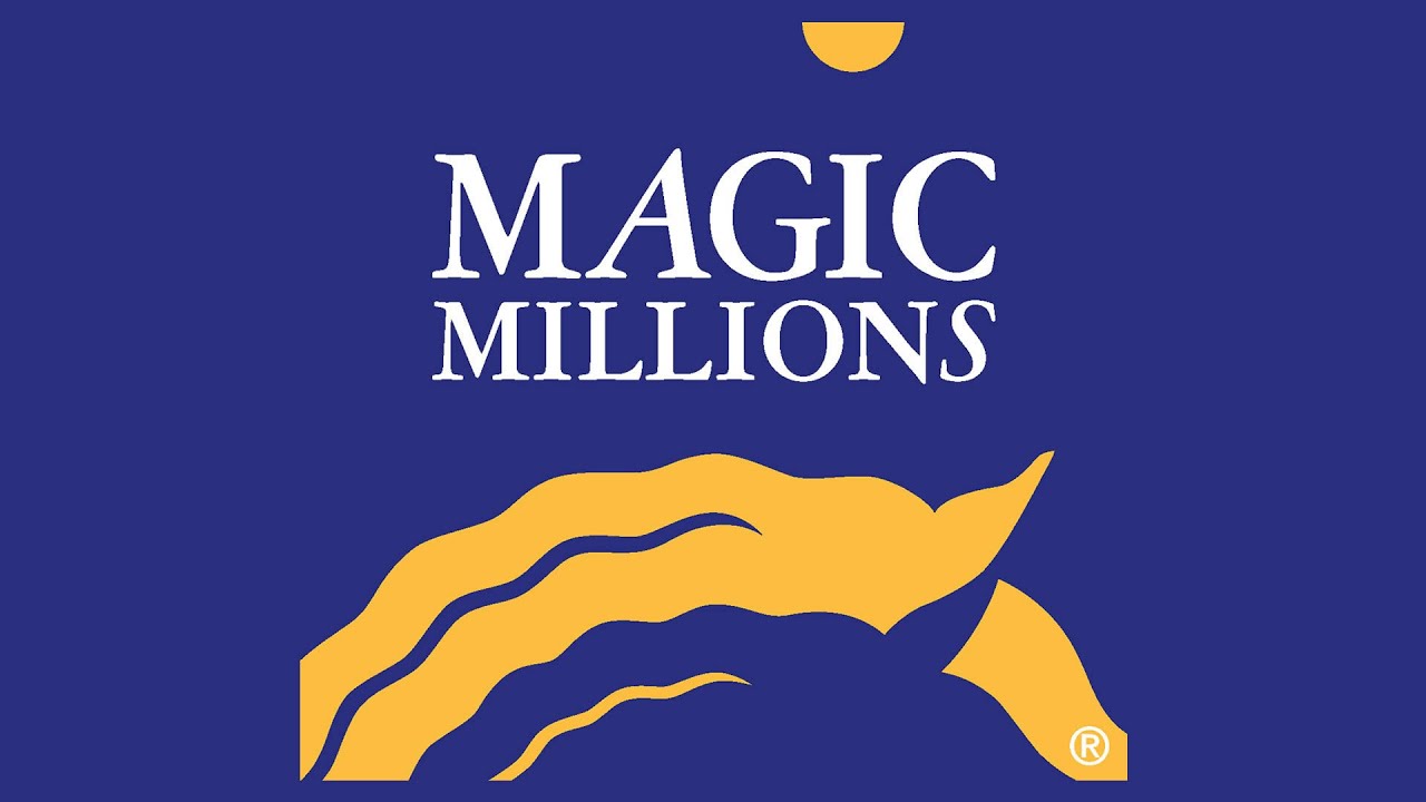 2024 Magic Millions Gold Coast National Yearling Sale Day 2 Total