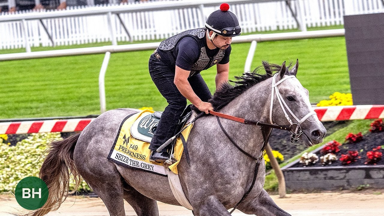 2024 Preakness Stakes Contenders Train Two Days Before the Race Total