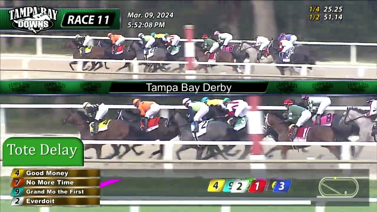 2024 Tampa Bay Derby Total Horse Channel Equestrian TV