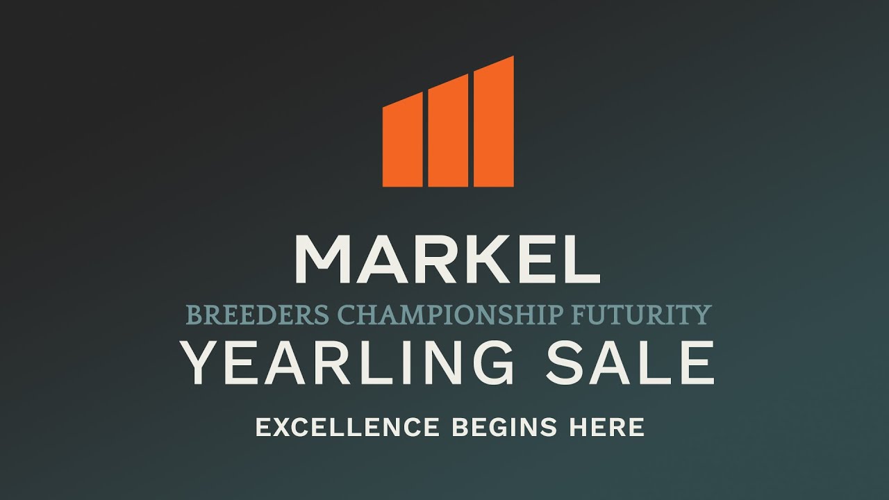 2025 NSBA World Show Markel Insurance Breeders Championship Futurity