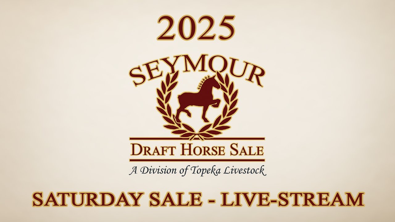 2025 Seymour Draft Horse Sale Total Horse Channel Equestrian TV