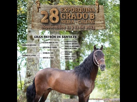 28 EXPOEQUINA GRADO “B” NEIRA – CALDAS 2023 – DIA 1 - Total Horse ...