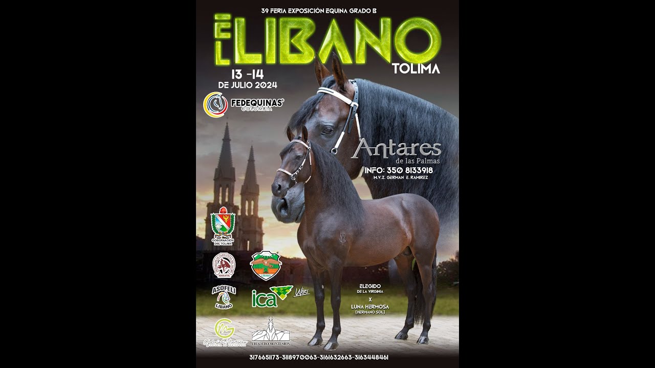 39º FERIA EXPOEQUINA GRADO “B” LIBANO – TOLIMA 2024 – DIA 1 – PASO FINO ...