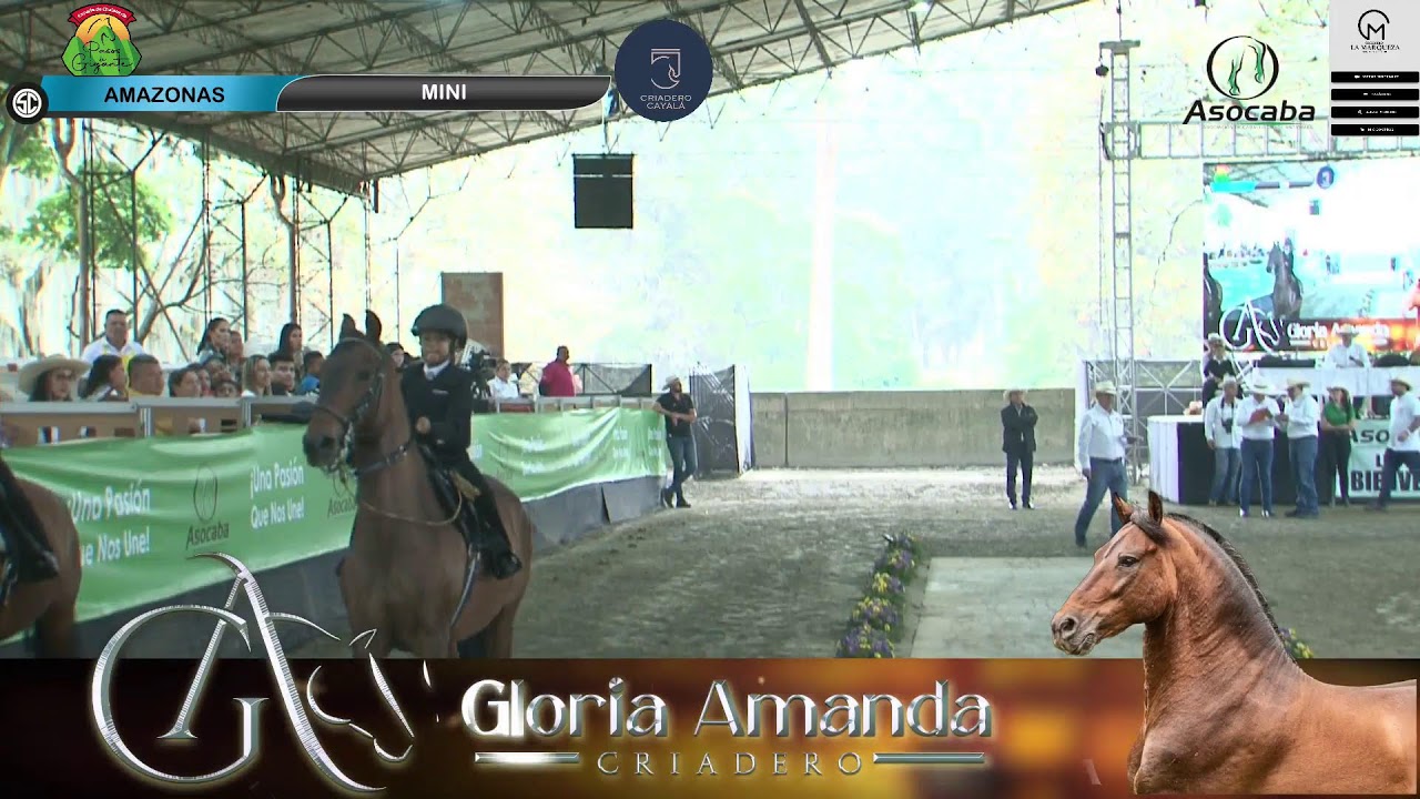 9na VALIDA PUNTUABLE DE EQUITACION EN CABALLO DE PASO DIA 3 ASOCABA