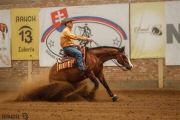 Cowboy rider in orange shirt and hat leans forward on a fast-moving brown horse, dust flying in a rodeo arena with banners in the background.