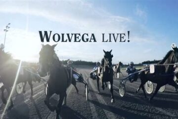 Banner of harness racing at Wolvega with several horse-drawn sulkies on a track and the text 'WOLVEGA LIVE!' across the sky.