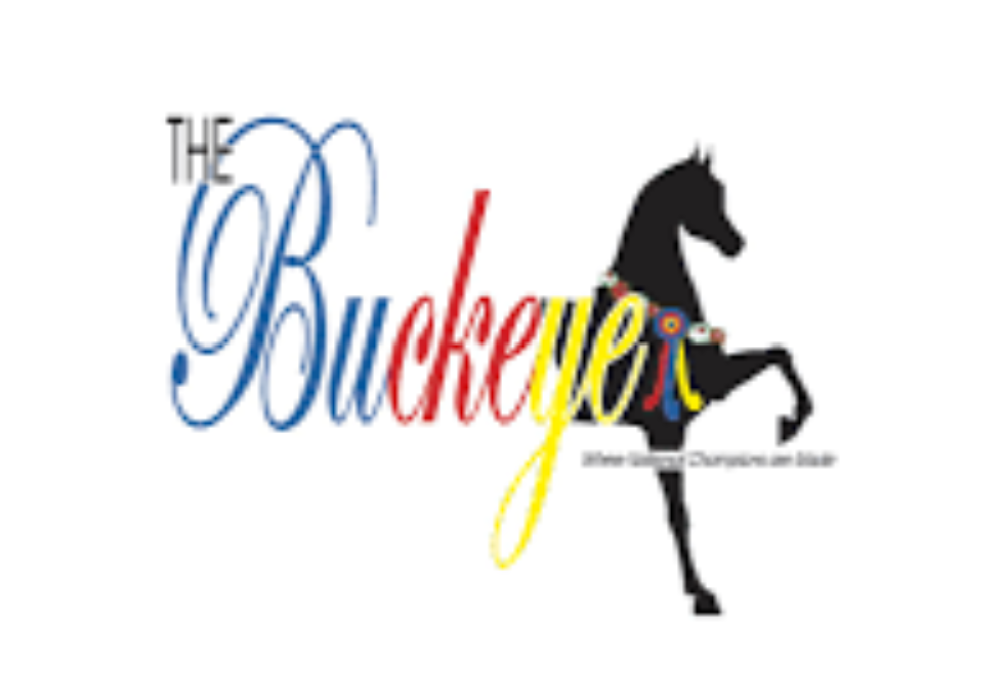 The Buckeye Sweepstakes LIVE Total Horse Channel Equestrian TV