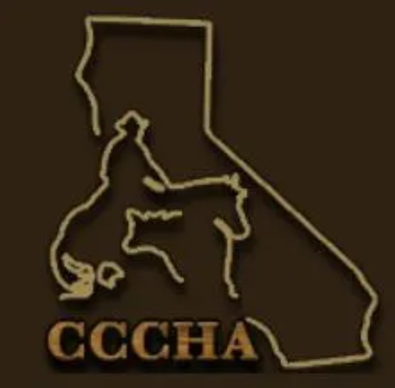 CENTRAL COAST CUTTING HORSE ASSOCIATION Pen 2 Total Horse Channel