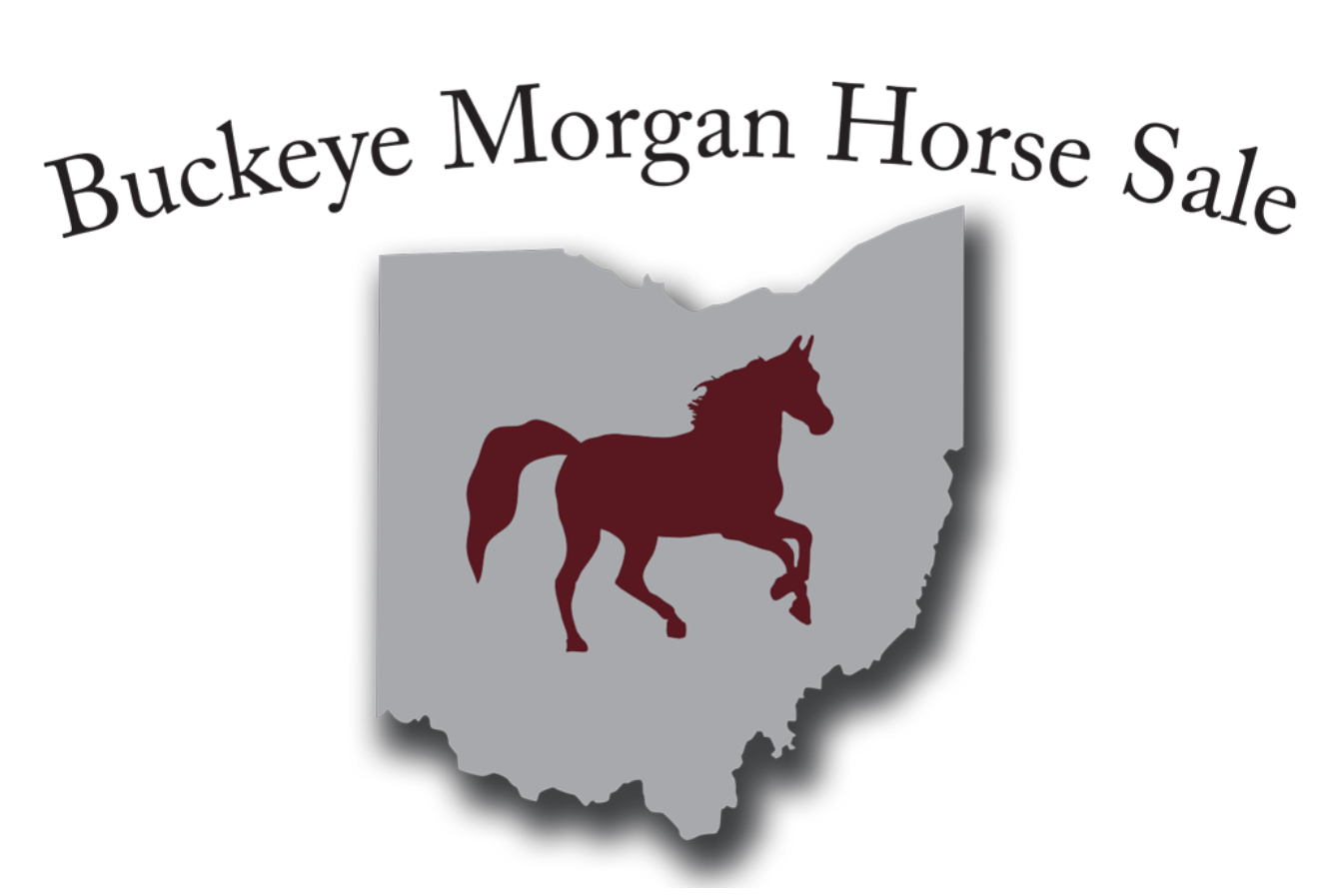 2023 Buckeye Horse Sale — Friday Total Horse Channel