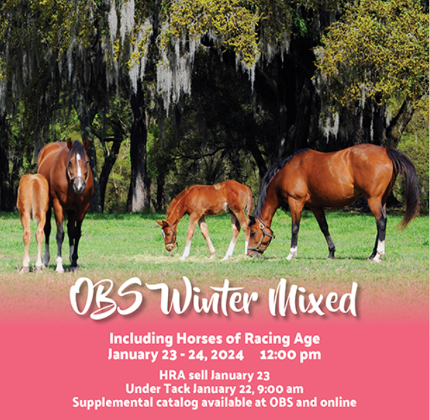 OBS 2024 Winter Mixed Sale Undertack Show Total Horse Channel