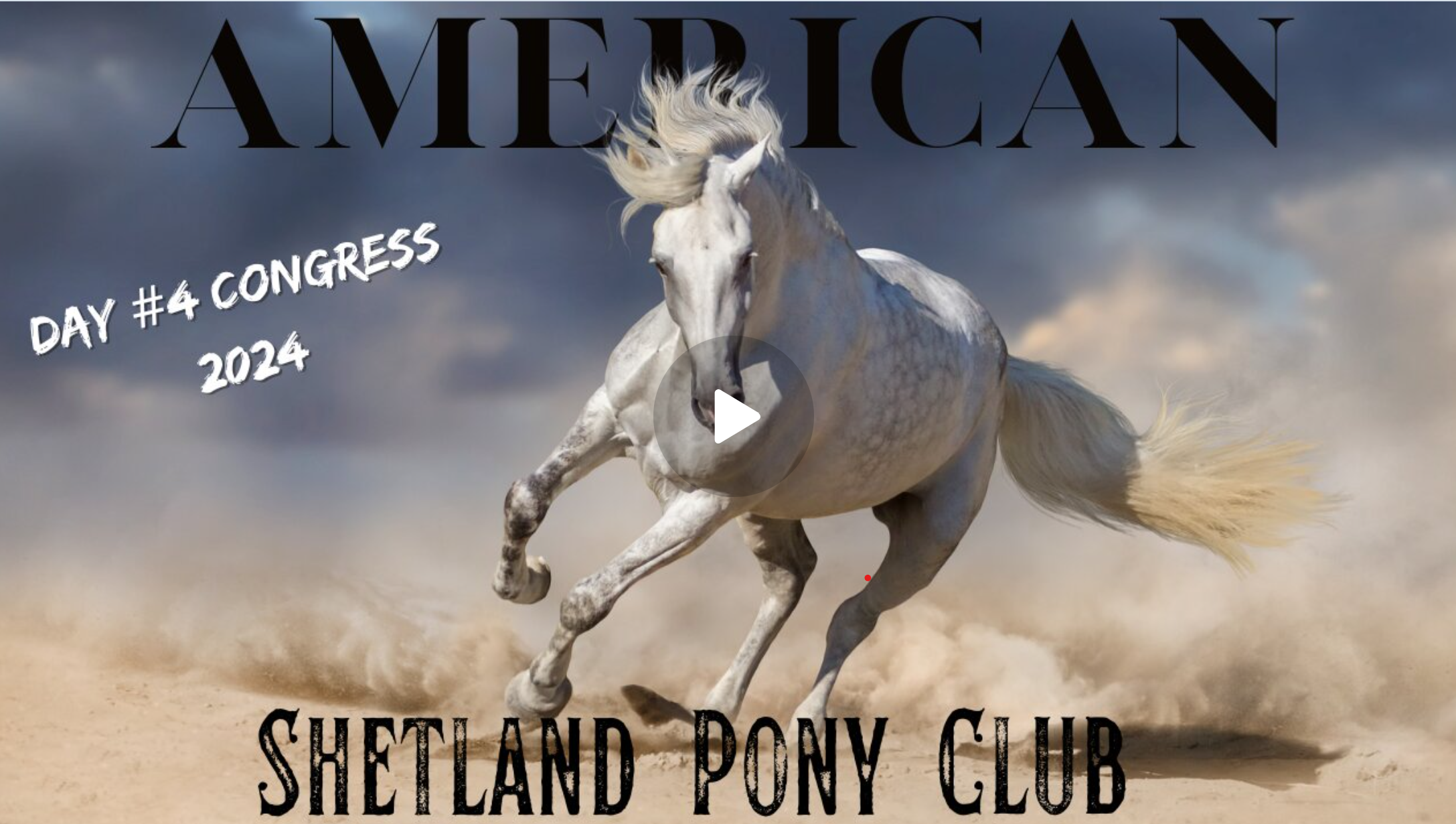 2024 American Shetland Pony Club (ASPC) Congress Day 4 Total Horse