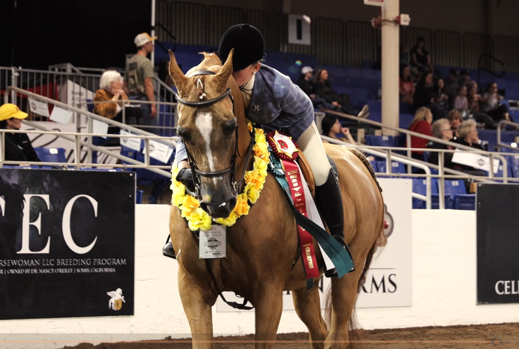 2025 Scottsdale Arabian Horse Show | Plan Your Trip Today