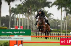 Equestrian rider and horse mid-jump over an orange hurdle in a show jumping arena, palm trees in the background; live banner at bottom.