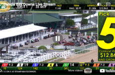 Live Tampa Bay Downs feed showing the grandstands and paddock, with a large Pick 5 graphic on the right and race odds along the bottom.